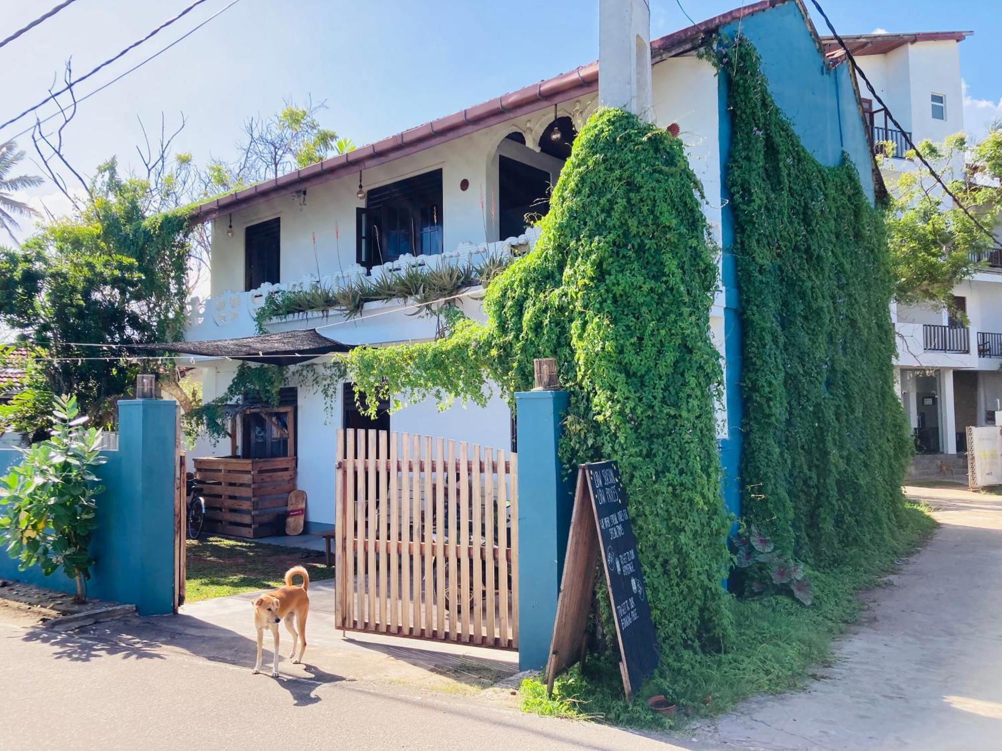 Just Another Guesthouse Polhena Exterior foto